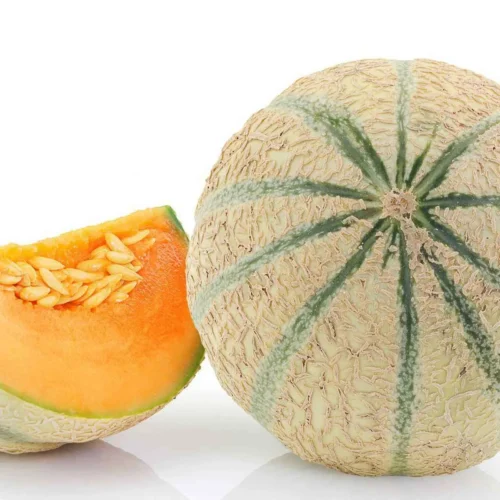 Melon cantaloup Extra 1Kg