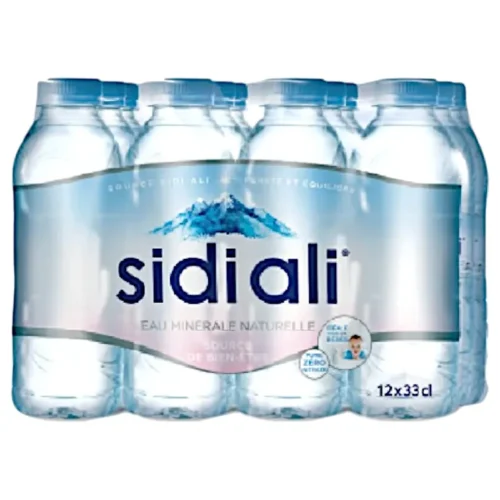 Pack Sidi Ali Eau minérale 12 x 33cl