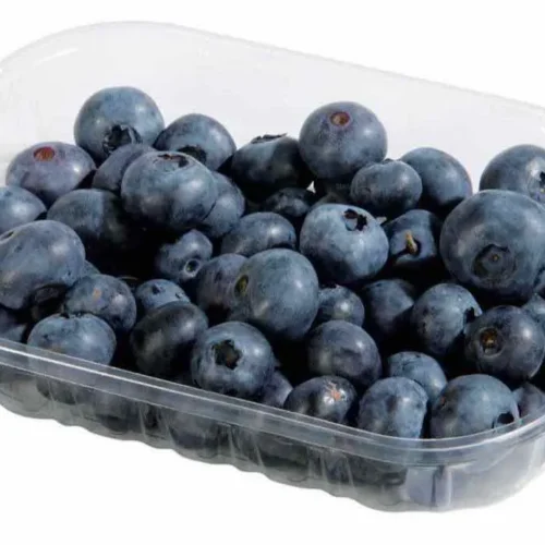 Myrtille en barquette de 125g