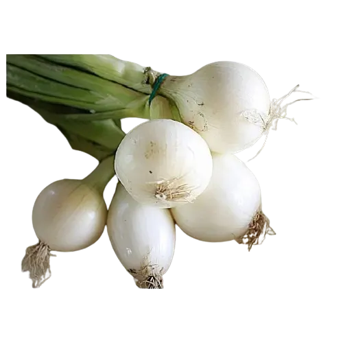 Oignons frais blanc 1Kg