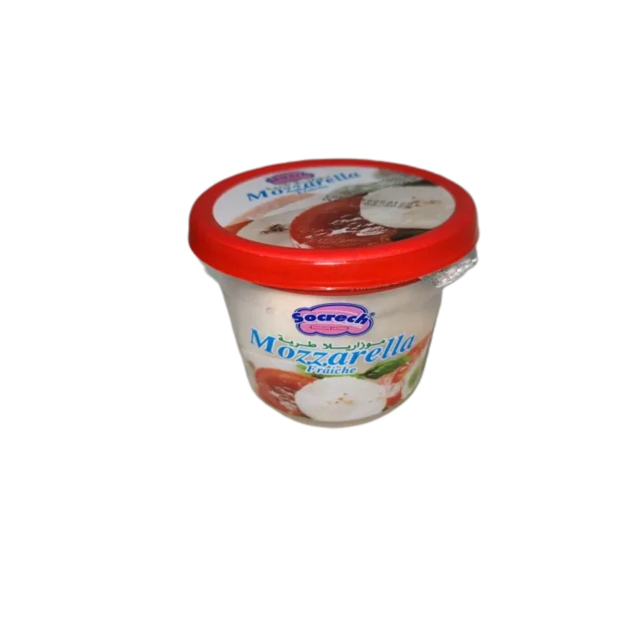 Fromage mozzarella fraîche en boule 100g - SOCRECH