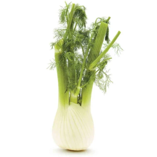 Fenouil 500g