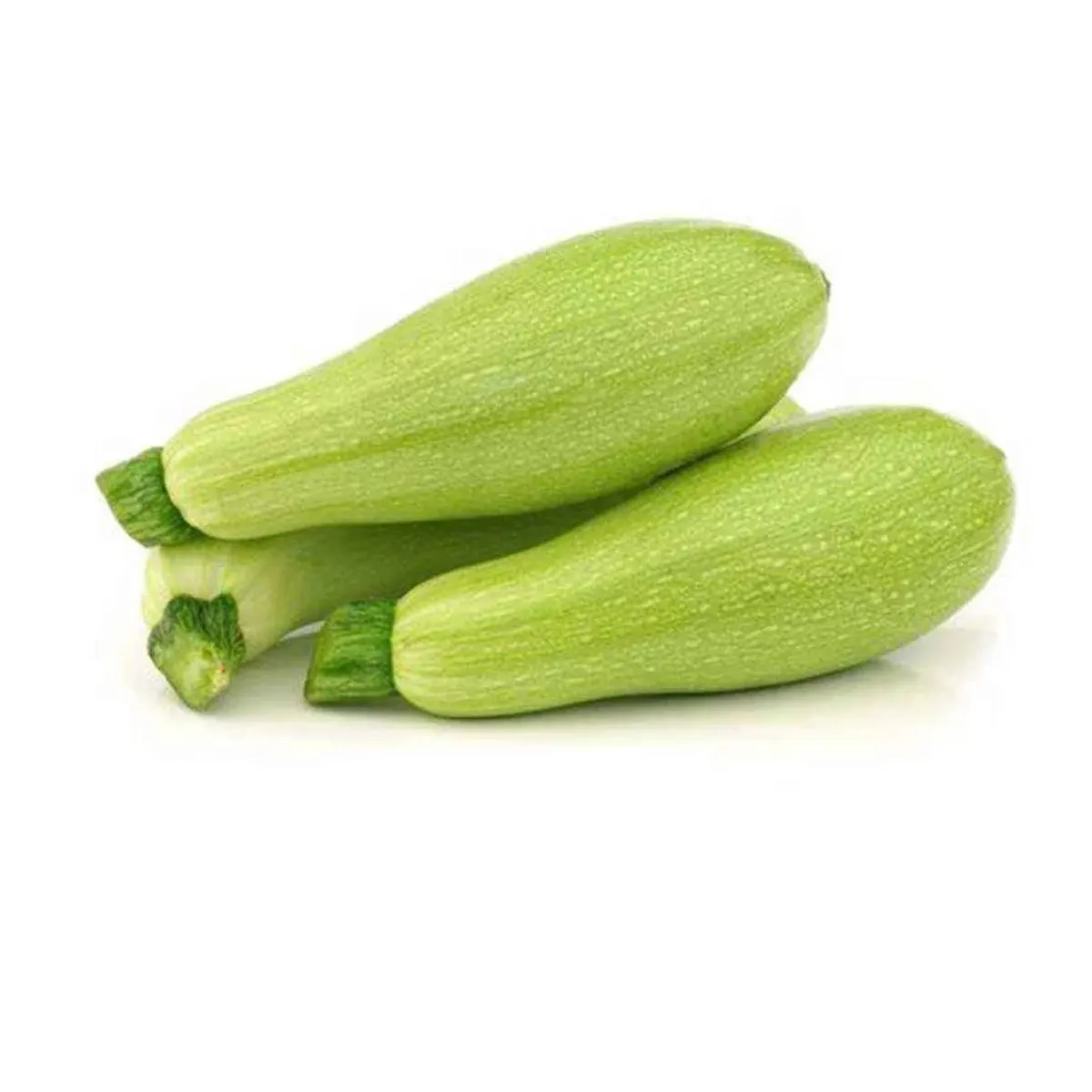 Courgette blanche 500g - FILIERE M