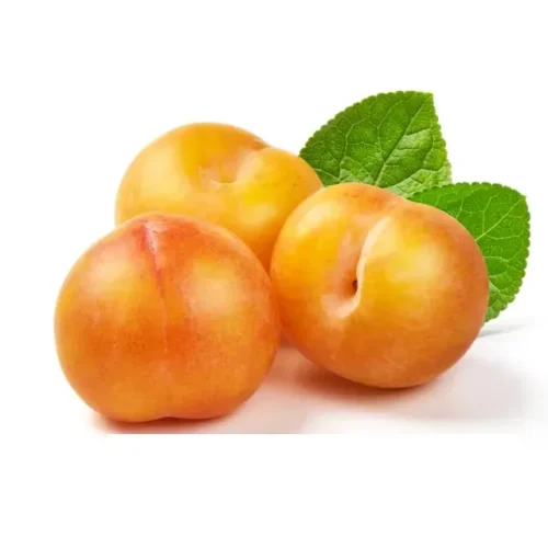 Prune jaune en barquette 1Kg - FILIERE M