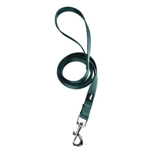 Laisse nylon verte 25mm 100cm - BUBIMEX