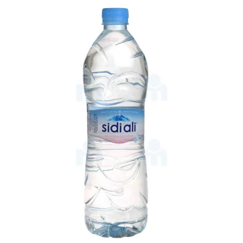 Sidi Ali Eau minérale 1L