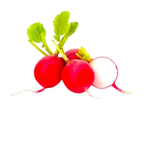 Radis 200g - FILIERE M