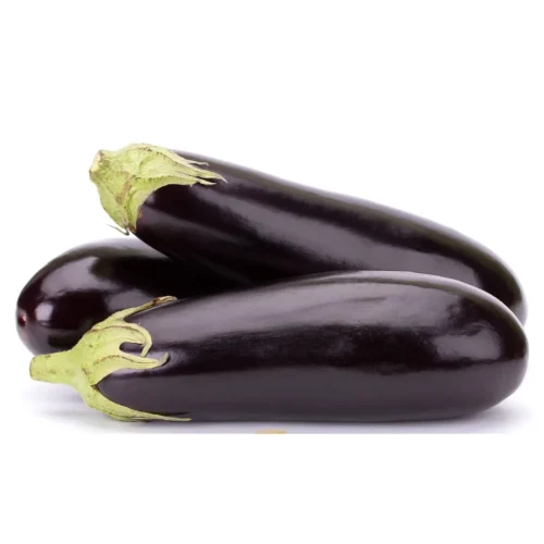 Aubergine ronde 500g - FILIERE M