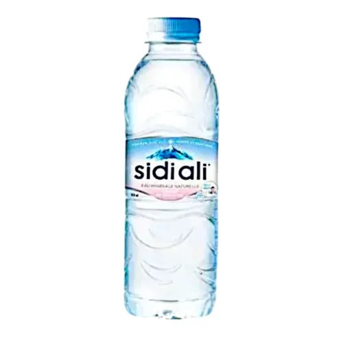 Sidi Ali Eau minérale 33cl