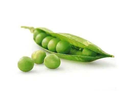 Petits pois 500g