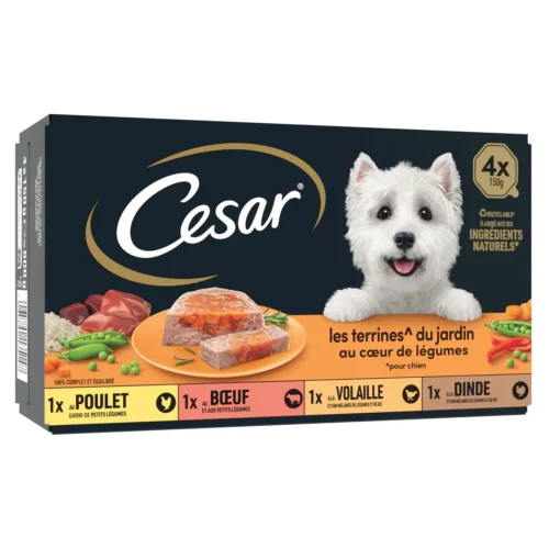 Pâtée terrine jardin à la viandes et au cœur de légumes pour chien 4x150g -CESAR