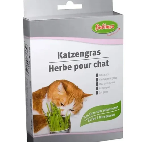 Herbe à chat à brocher 100g - BUBIMEX