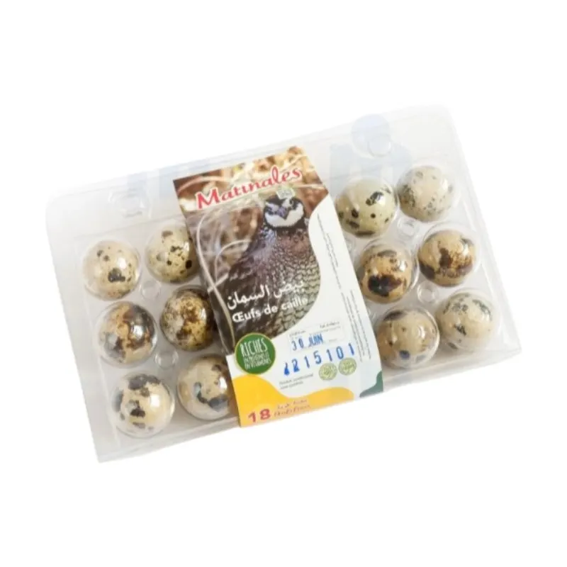 Œufs de caille frais x18 - MATINALES